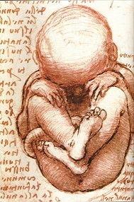 Involved creation- the microcosm