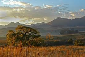 Freestate Landscape
