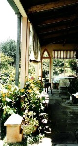 Stoep with rambling grapes within reach