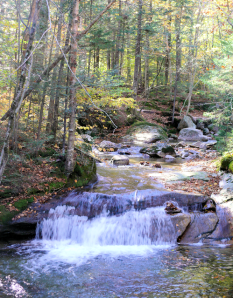 Gathering in, flowing on.