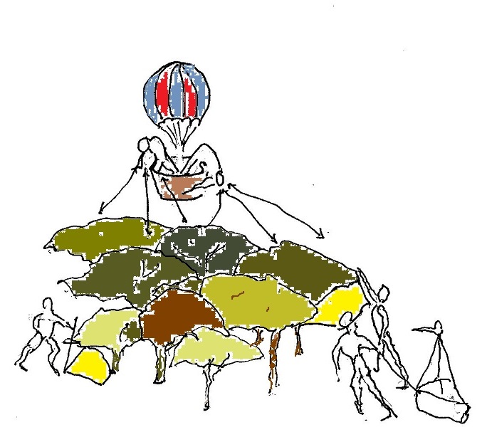 Wood or Trees? Whole or Parts?