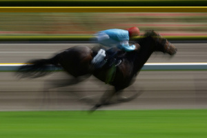 Life at a Gallop-&nbsp;Blurred?